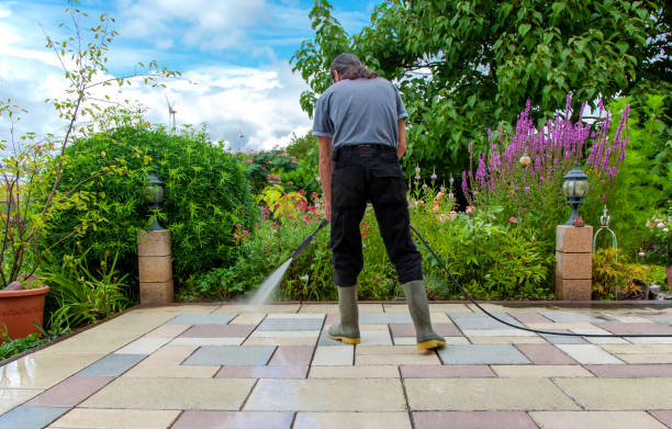 Dorr, MI  Pressure Washing Services Company