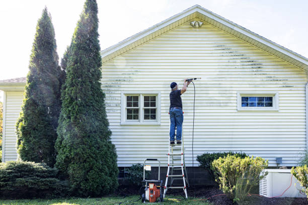 Best Driveway Pressure Washing  in Dorr, MI